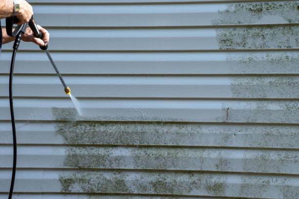 Best Steel Siding Installation  in San Anselmo, CA