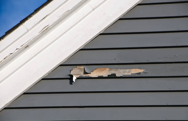 Best Siding Removal and Disposal  in San Anselmo, CA